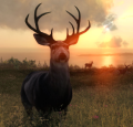 Magic Media TheHunter Classic. A deer standing in a sunlit meadow at sunset, with a scenic backdrop of rolling hills, a body of water, and other deer grazing in the distance.